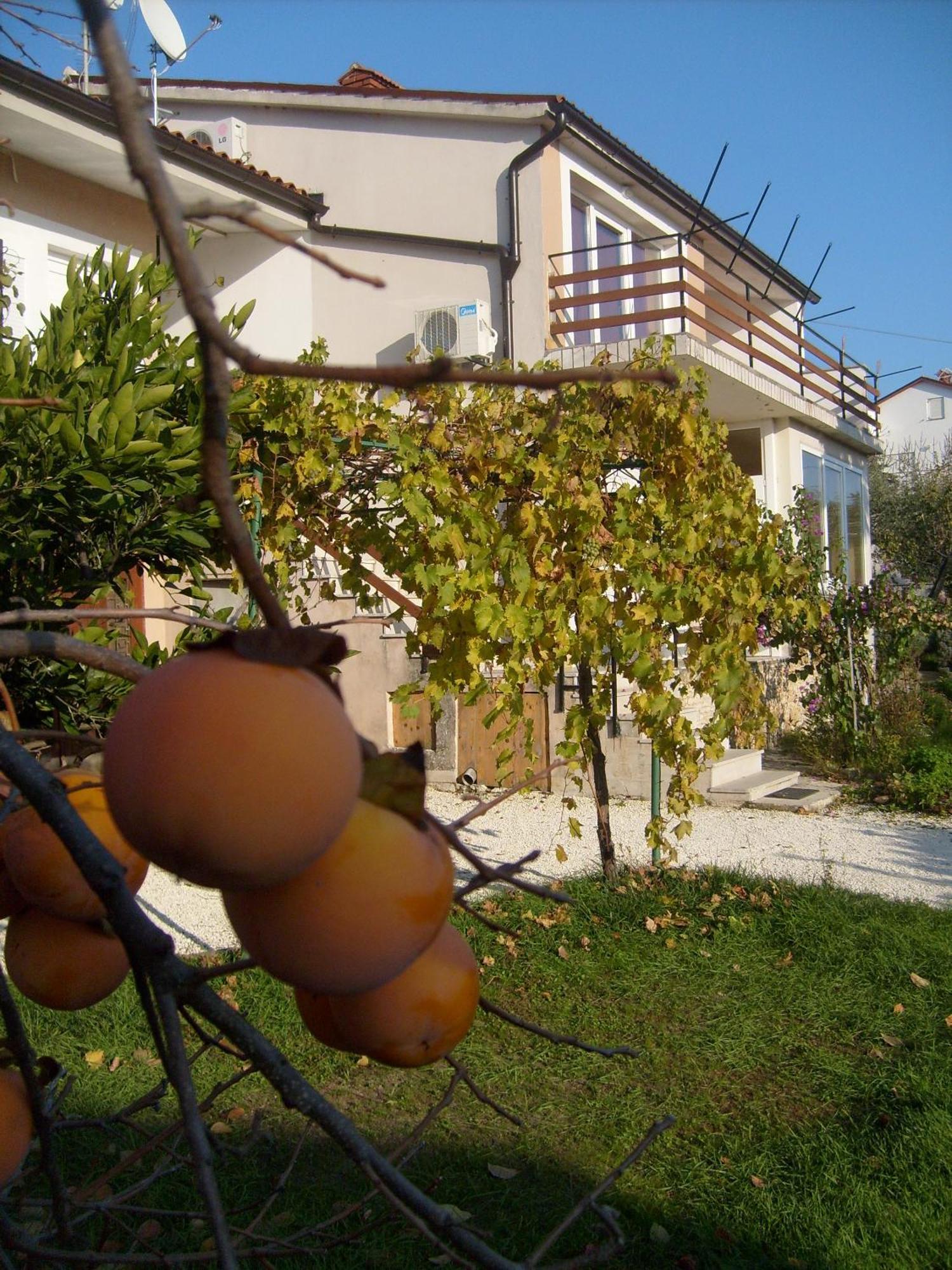 Apartments Bernic Medulin Dış mekan fotoğraf
